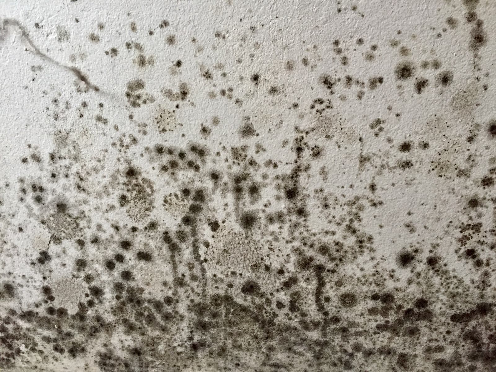 Condensation, black mould & PIV services Derbyshire, South Yorkshire and Nottinghamshire