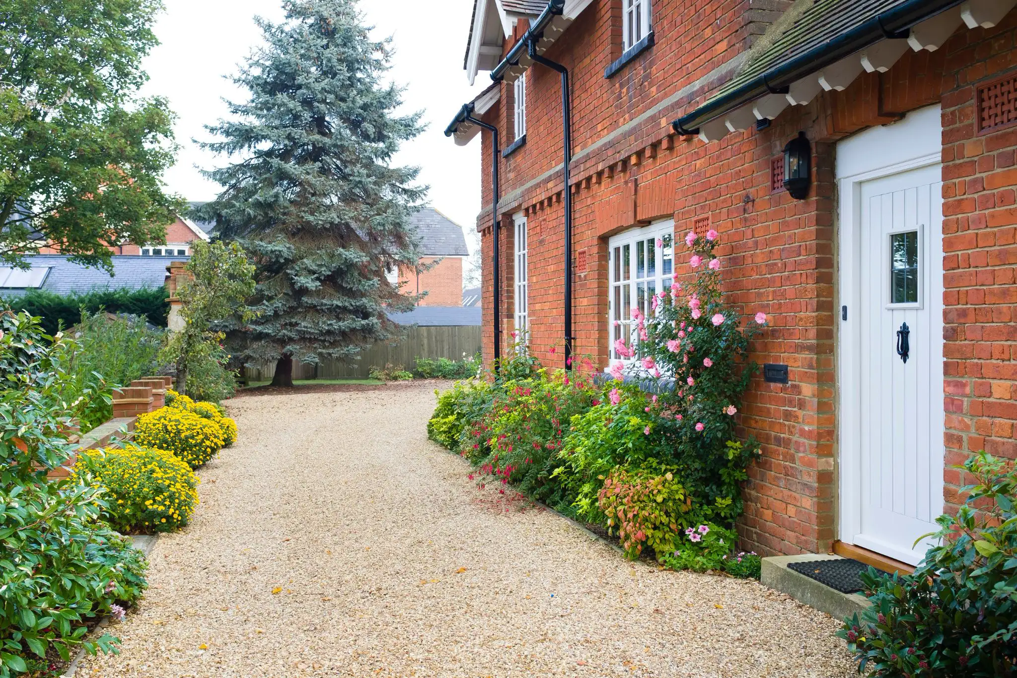 Rising damp services in Bolsover