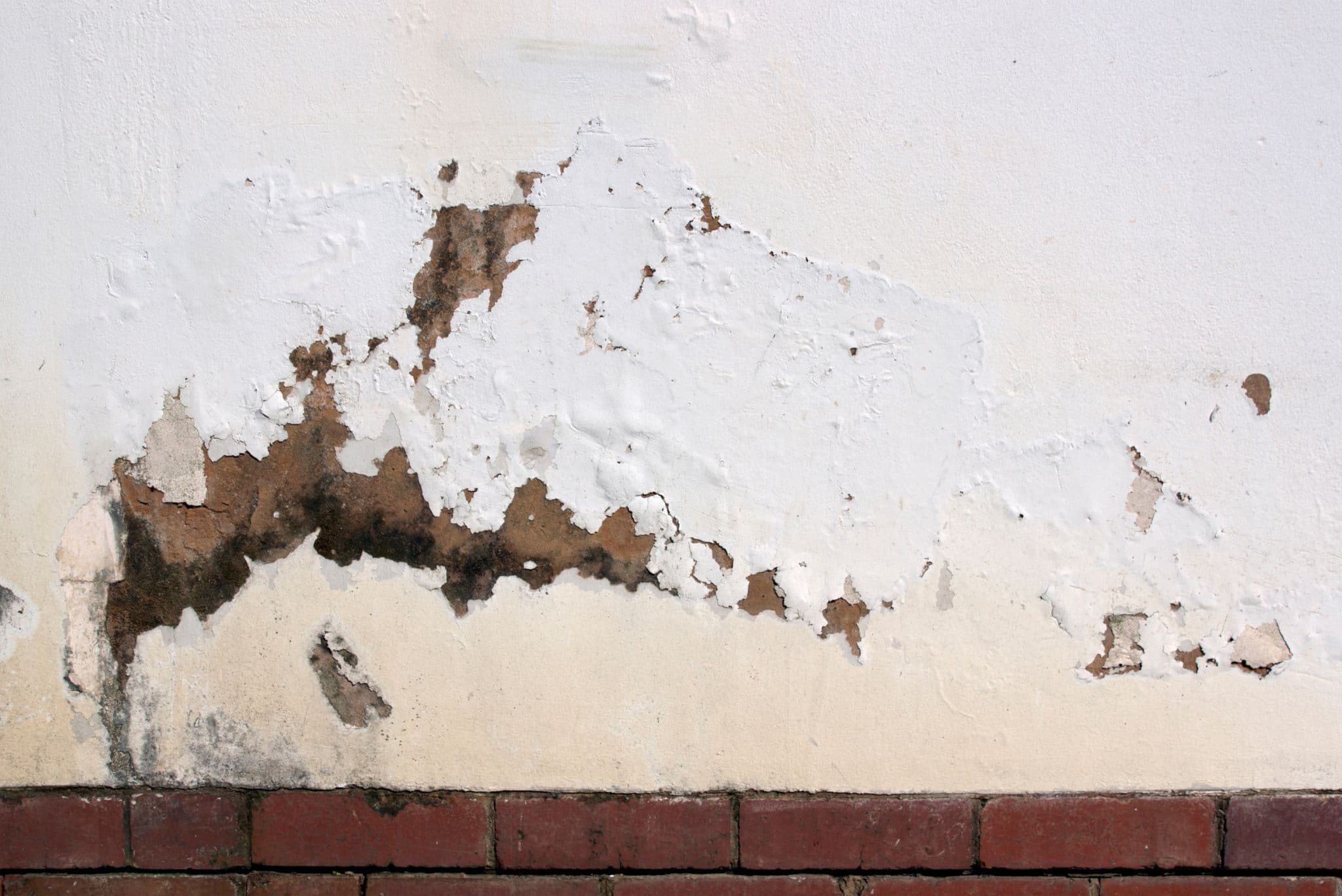 Rising damp services Derbyshire, South Yorkshire and Nottinghamshire