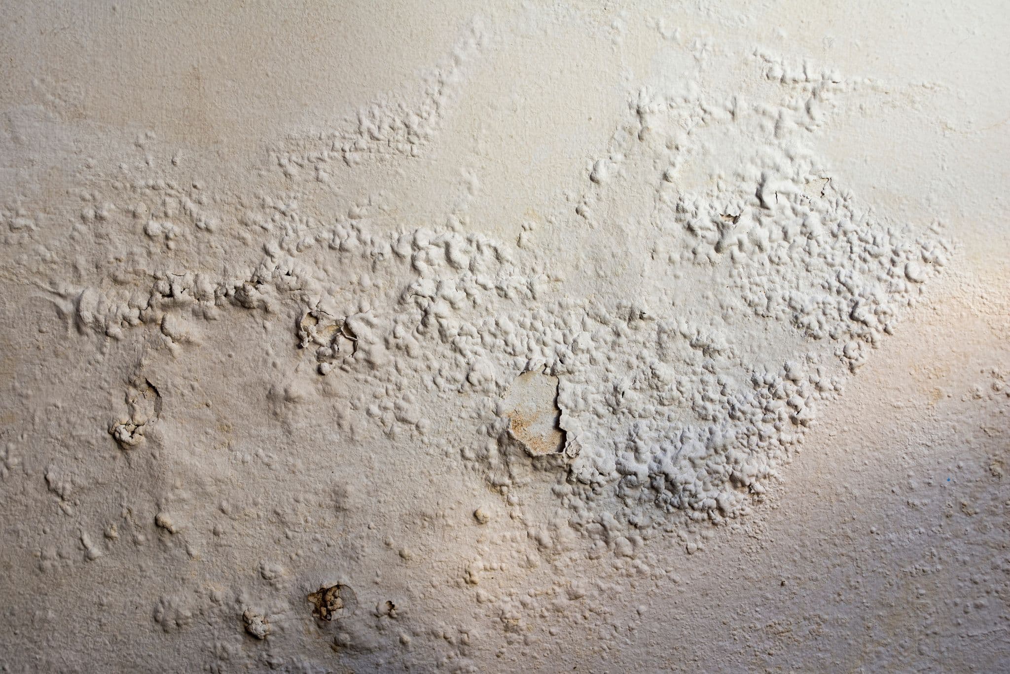 Rising Damp Chesterfield